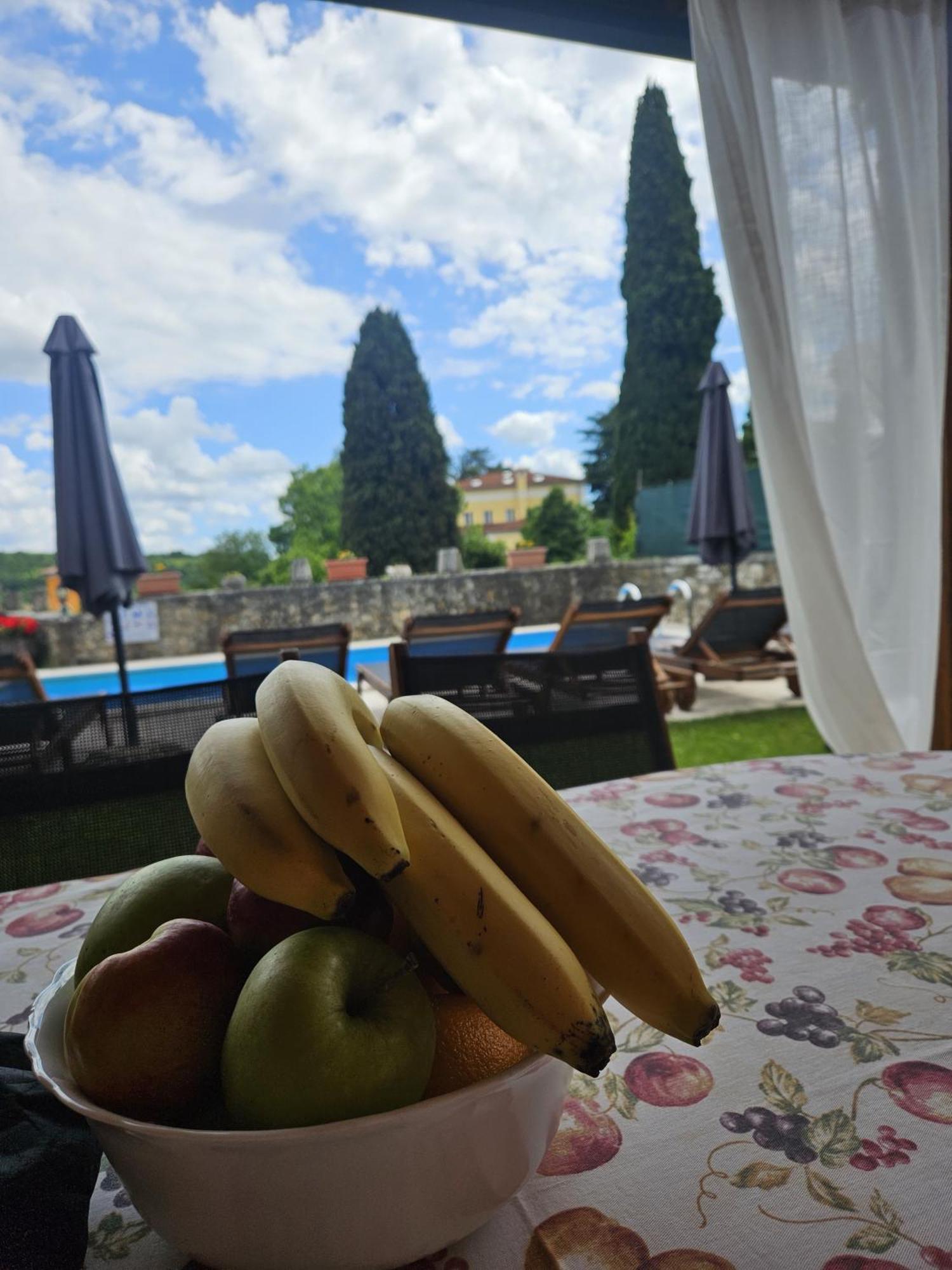 Villa Letizia Oprtalj Extérieur photo